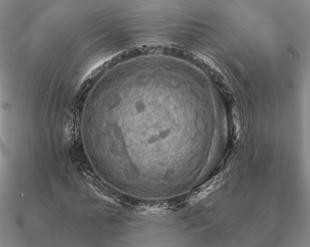 X0000090910775200708061522