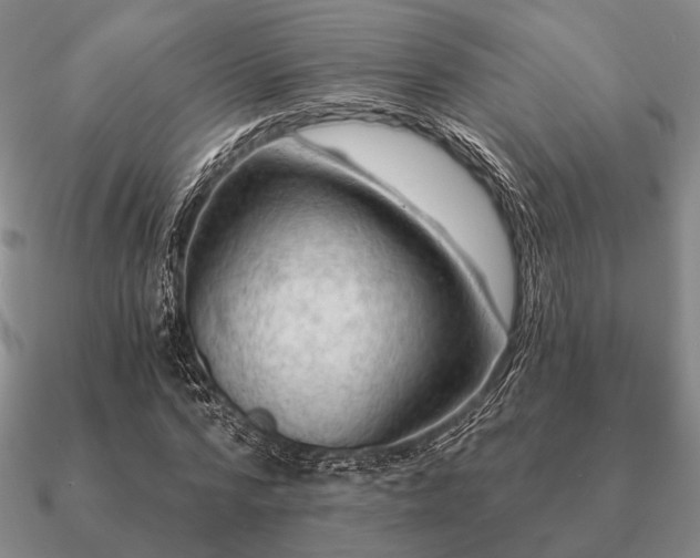 X0000090910776200708061522