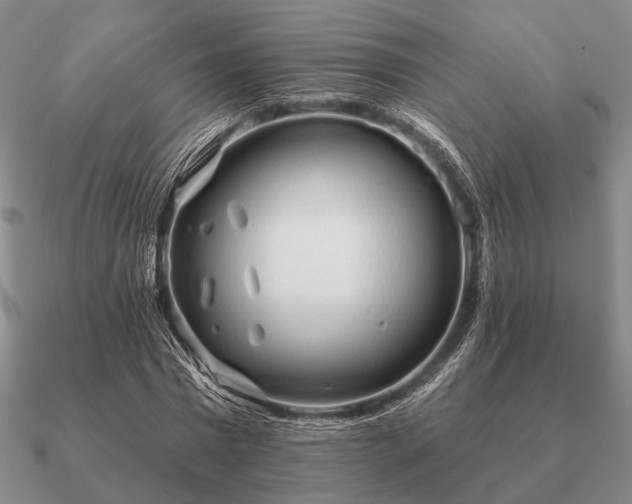 X0000090910777200708061522