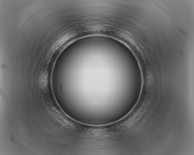 X0000090910778200708061522