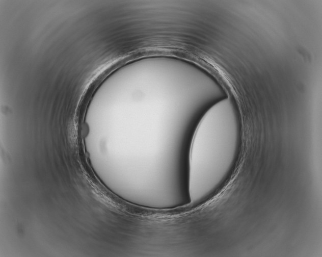 X0000090910779200708061522