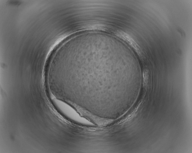 X0000090910780200708061522