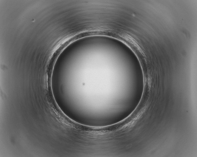 X0000090910781200708061522