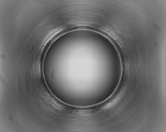 X0000090910782200708061522