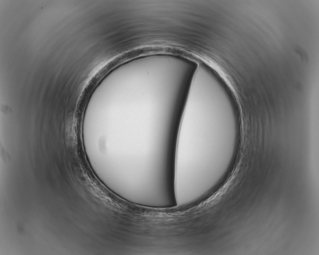 X0000090910783200708061522