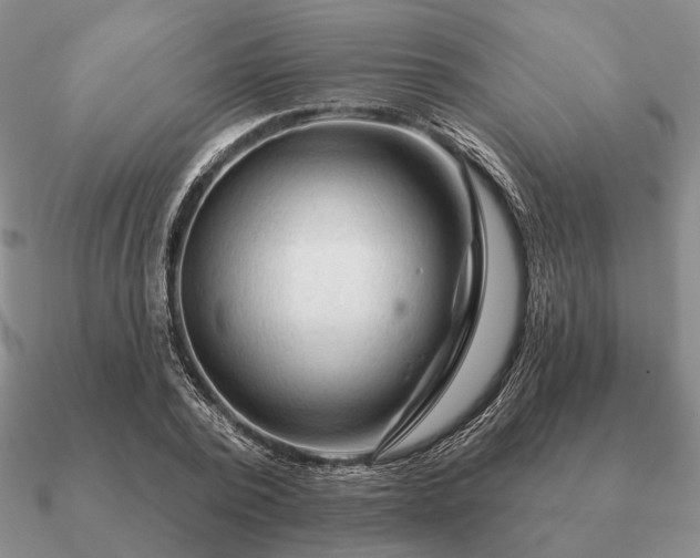 X0000090910784200708061522