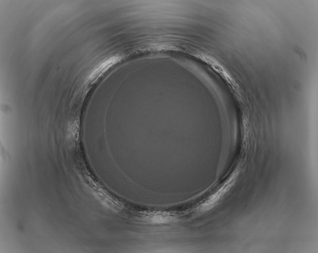 X0000090910785200708061522