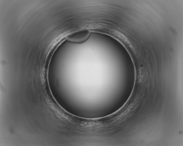 X0000090910786200708061522