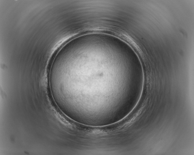 X0000090910787200708061521