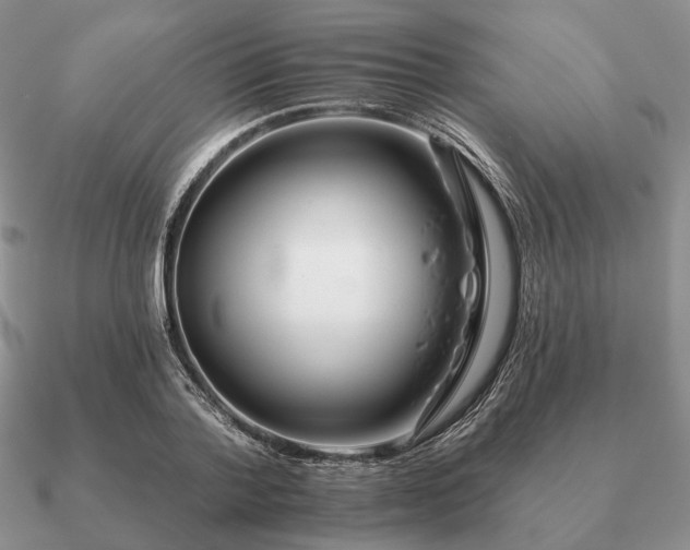 X0000090910788200708061521