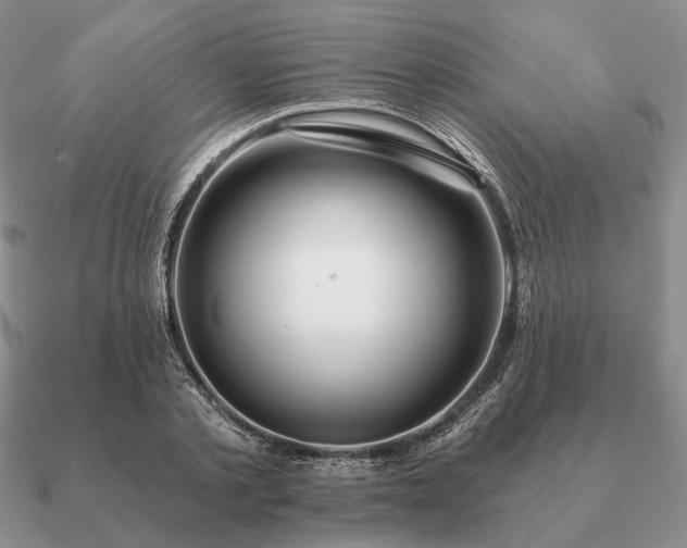 X0000090910789200708061521