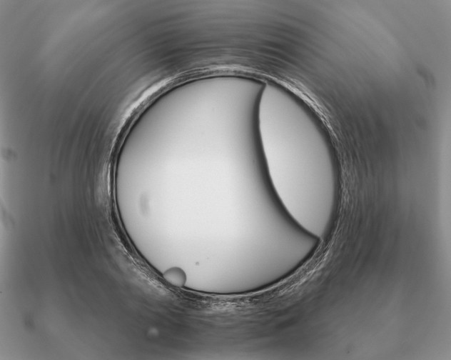 X0000090910790200708061521