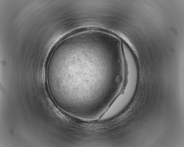 X0000090910791200708061521