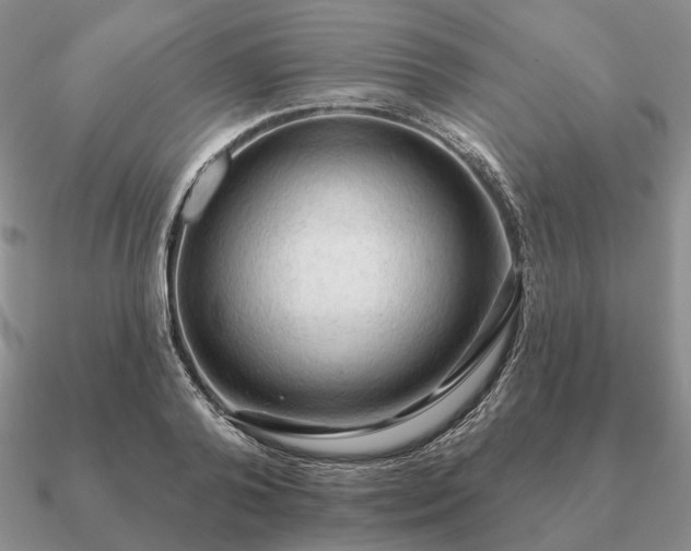 X0000090910792200708061521