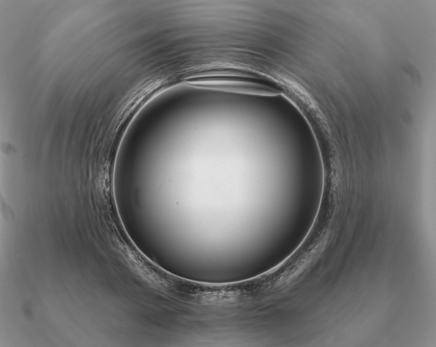 X0000090910793200708061521