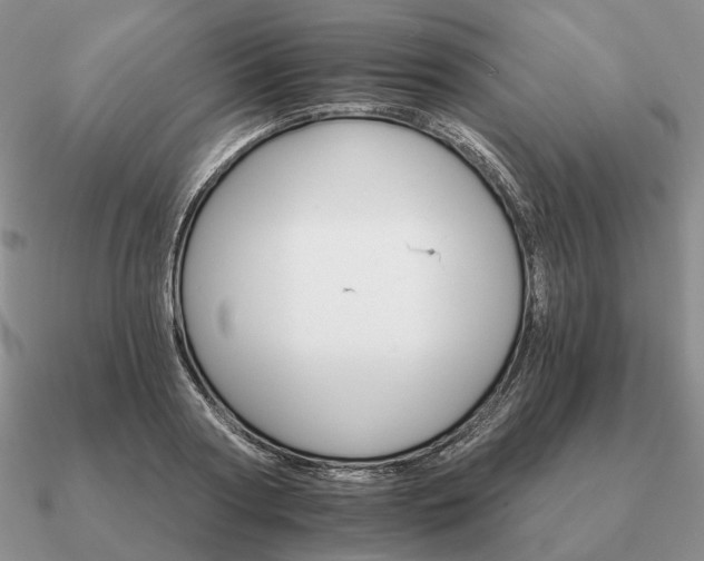 X0000090910794200708061521