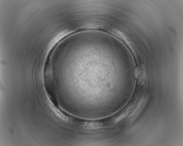 X0000090910795200708061521