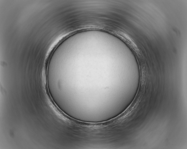 X0000090910796200708061521