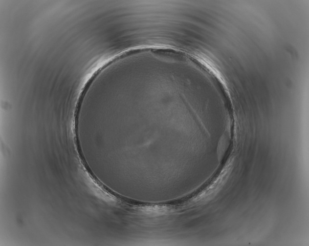 X0000090910797200708061521