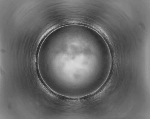 X0000090910798200708061521