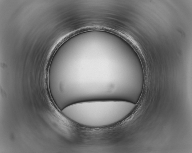 X0000090910799200708061521