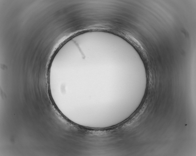 X0000090910800200708061521