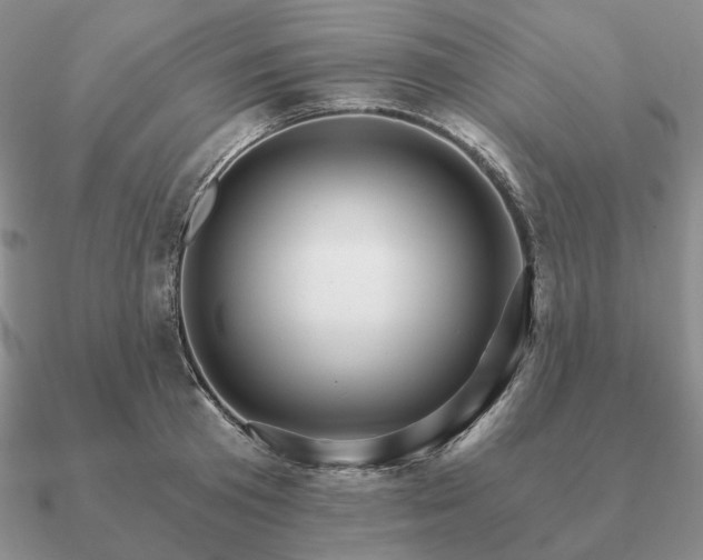 X0000090910801200708061521