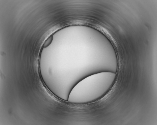 X0000090910802200708061521