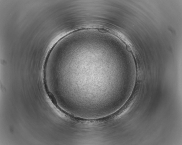 X0000090910803200708061521