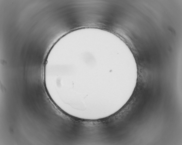 X0000090910804200708061521