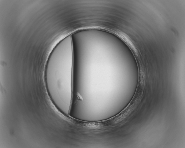 X0000090910805200708061521