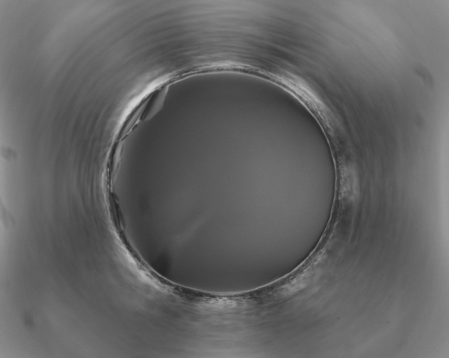 X0000090910806200708061521