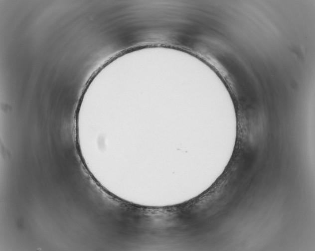 X0000090910807200708061521