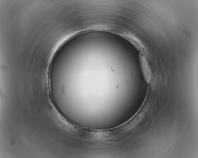 X0000090910808200708061521