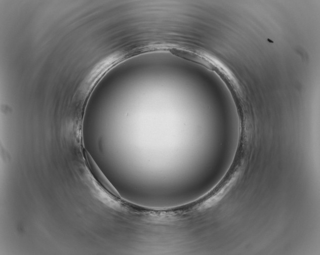 X0000090910809200708061521