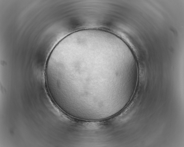 X0000090910810200708061521