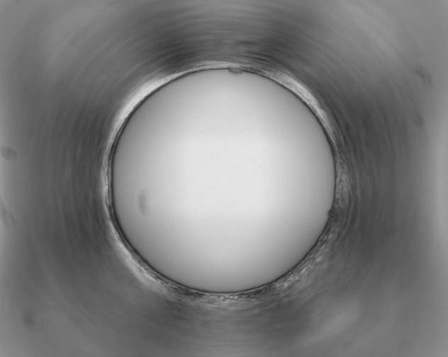 X0000090910811200708061521