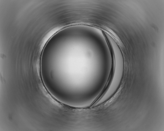 X0000090910812200708061521