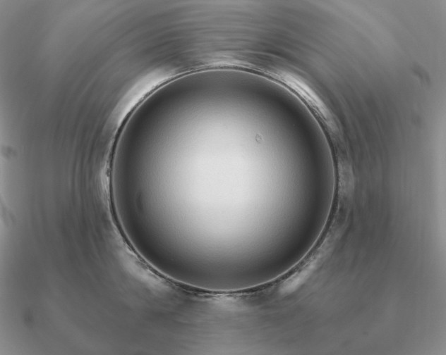 X0000090910814200708061521