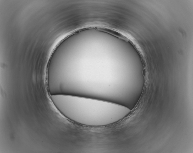 X0000090910815200708061521