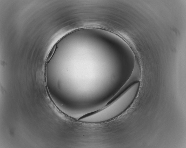 X0000090910816200708061521