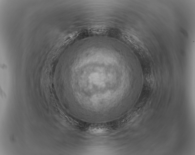 X0000090910817200708061521