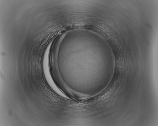 X0000090910818200708061521