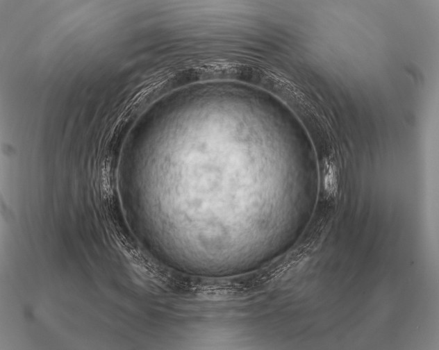 X0000090910819200708061521