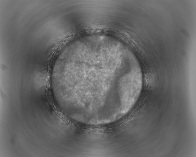 X0000090910820200708061521