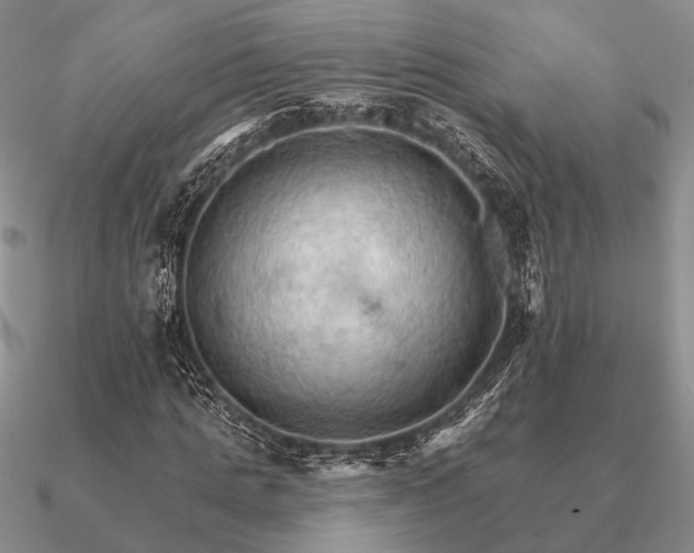 X0000090910821200708061521