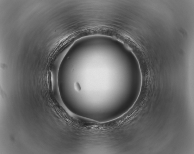 X0000090910822200708061521