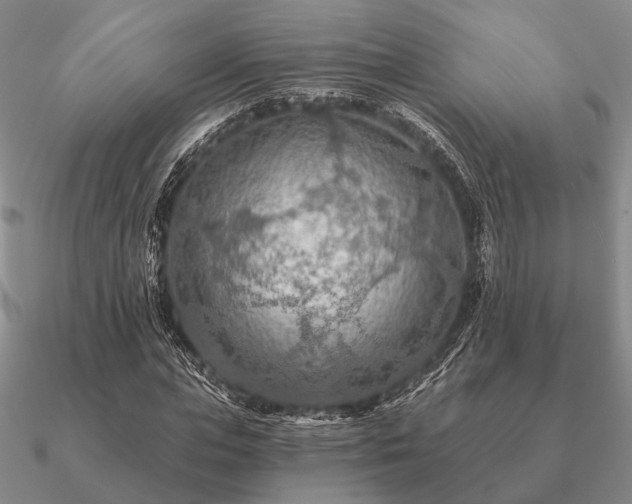 X0000090910823200708061521