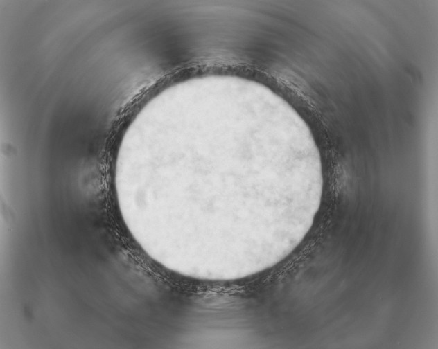 X0000090910824200708061521