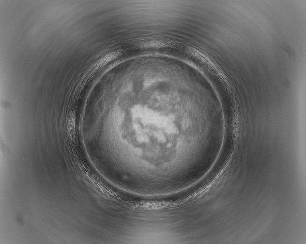 X0000090910825200708061521